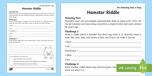 Hamster Riddle Worksheet / Worksheet (teacher made) - Twinkl