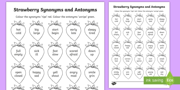 Synonyms Antonyms Homonyms Spreadsheet Activity