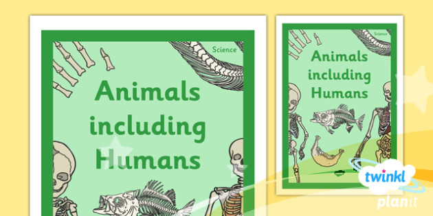 Science: Animals Including Humans Year 3 Unit Book Cover