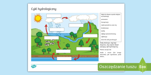 Cykl hydrologiczny | Karta pracy o cyklu hydrologicznym