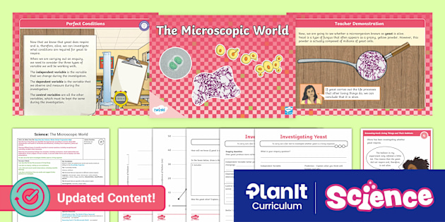 Science: Living Things and Their Habitats: The Microscopic World: Year 6 Lesson 4