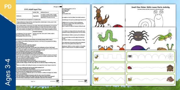 Bug Rescue Eyfs EYFS Minibeast Rescue Adult Input Plan and Pack (Ages 3-4)