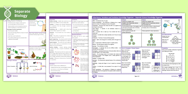 AQA GCSE Biology 6: Inheritance, Variation and Evolution Knowledge Organiser (Separate)