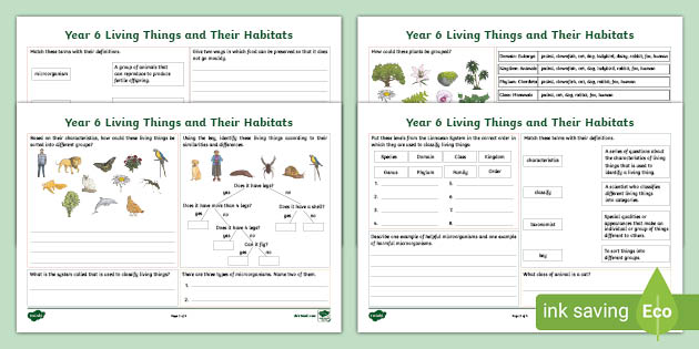 year-6-science-assessment-worksheet-with-answers-humans-including-animals-teachwire-grade-6