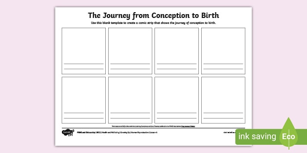 RSE Conception to Birth Activity - UKS2 Human Reproduction