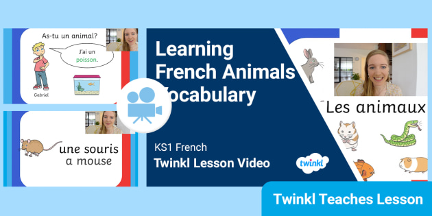 FREE! - 👉 KS1 (Ages 5-7) French: Animals Video Lesson