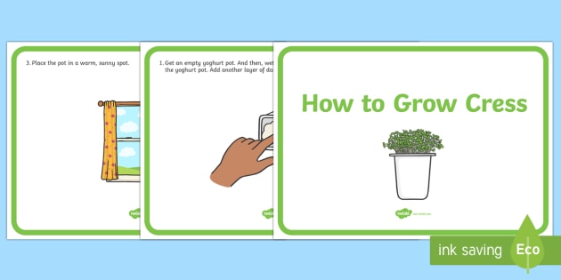 Growing Cress Heads with Children - Kids Do Gardening