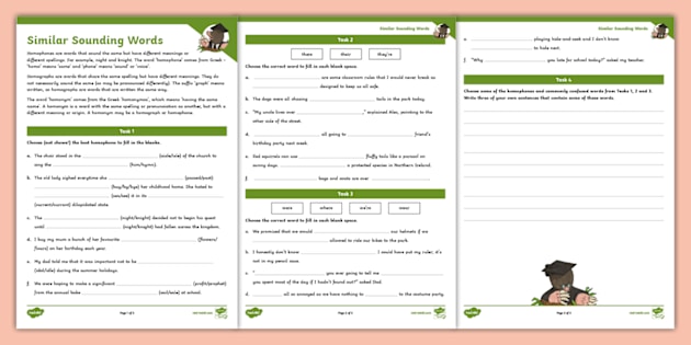Similar Sounding Words Activity Sheets