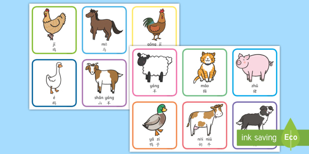 可爱的农场动物词汇匹配卡片(拼音)