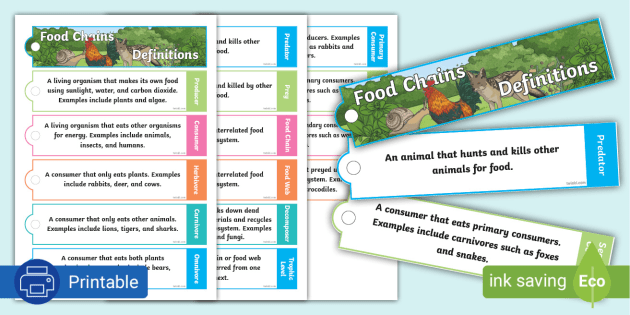 za-nst-1683701065-food-chains-