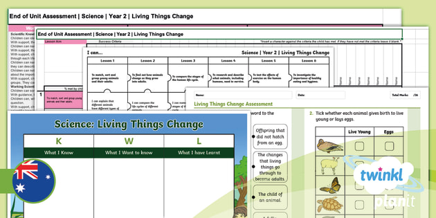Year 2 Science Living Things Change Assessment Pack