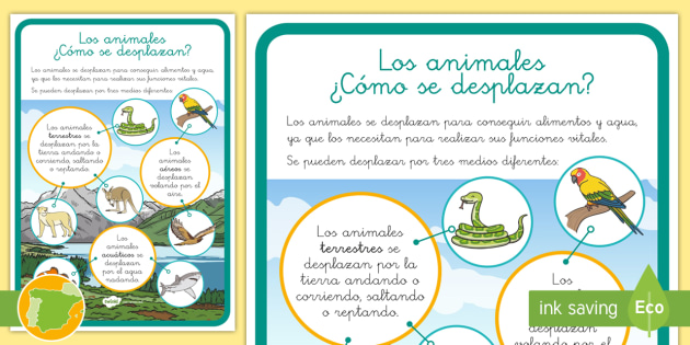 Hoja informativa: Los animales - ¿Cómo se desplazan?