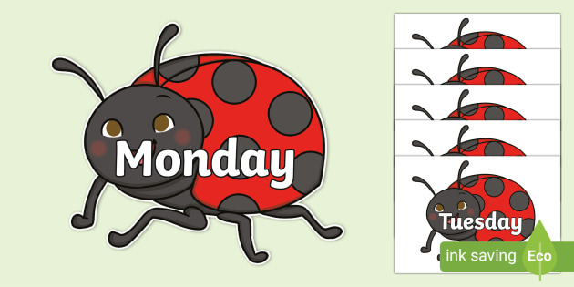 FREE! - Days of the Week on Ladybirds (teacher made)