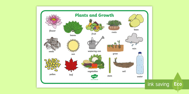 Plants And Growth Topic Word Mat teacher Made 
