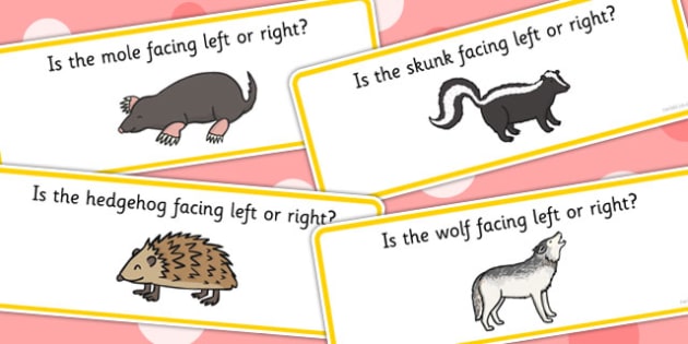 Right And Left Animal Cards