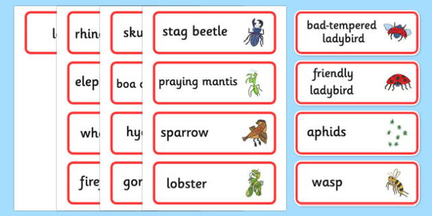 word-cards-to-support-teaching-on-the-bad-tempered-ladybird