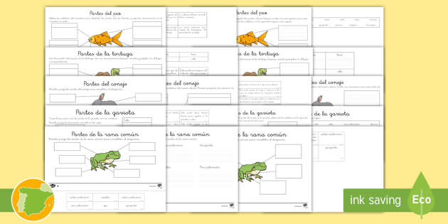 Pack de recursos Las partes de los animales