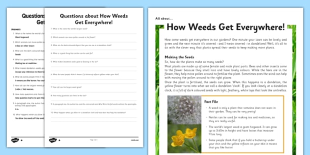 year 3 4 seeds and weeds science comprehension worksheets