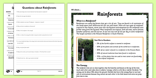 Y5 Rainforests Reading Comprehension Activity