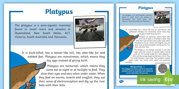 Platypus Fact Sheet (teacher made) - Twinkl