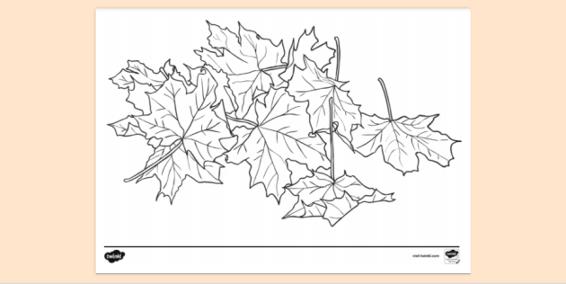 Autumn Colouring Page for Early Years - Twinkl