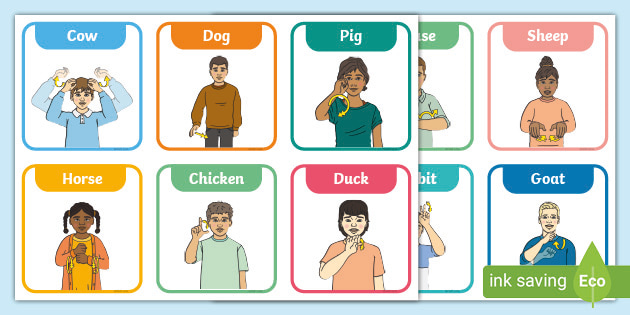 New Zealand Sign Language Animal Flashcards (teacher made)