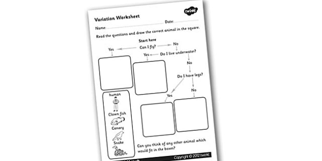 Animal Flow Chart Ks2