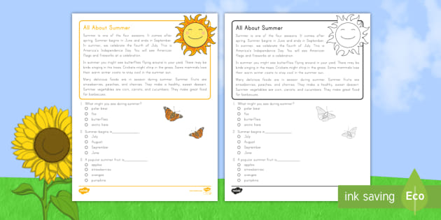 summer reading comprehension grade 2 text about summer