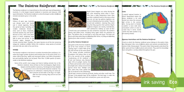 Daintree Rainforest Fact Sheet (teacher Made)