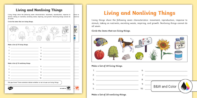 Living and Nonliving Things Worksheets | Twinkl - Twinkl