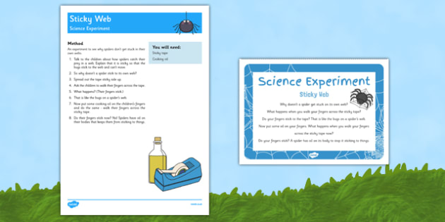 Sticky Web Science Experiment - EYFS, Spider, minibeast, sticky