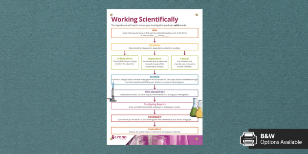 Working Scientifically Poster Teacher Made 9667
