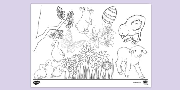 Free Free Spring Colouring Page Primary School Twinkl