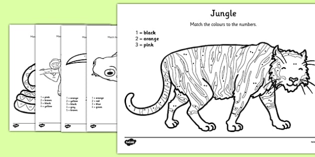 jungle colournumber counting worksheet / worksheet