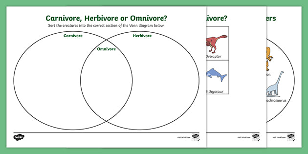 Dinosaurs Omnivore Carnivore Herbivore Sorting Worksheet