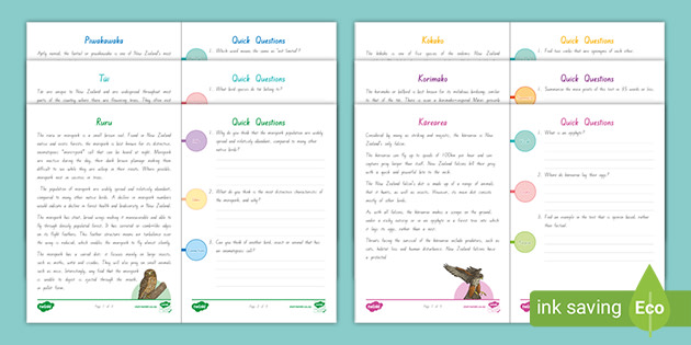 Quick Reads Activity Pack New Zealand Birds Teacher Made