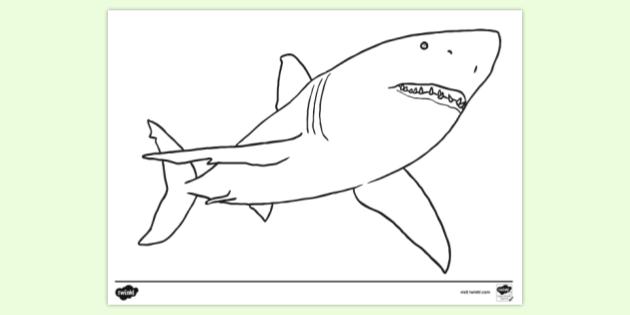 10+ Scary Shark Coloring Pages Uk