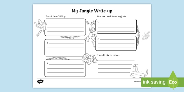 free jungle themed write up worksheet teacher made