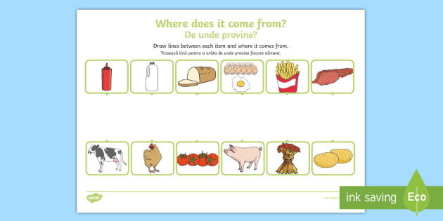 where-does-food-come-from-worksheet-worksheet-english-romanian