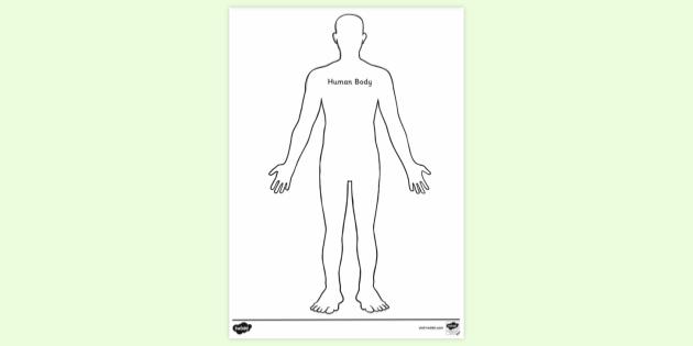 FREE! - Human Body Outline Colouring | Colouring Sheets