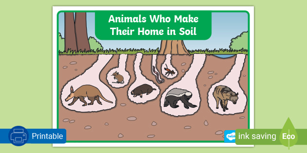 Animals Who Make Their Homes in Soil Poster (teacher made)