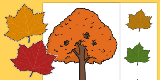 Autumn Tree And Leaf Display Teacher Made