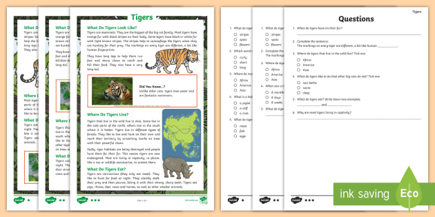 Saber Tooth Tiger Facts, Worksheets & Taxonomy For Kids