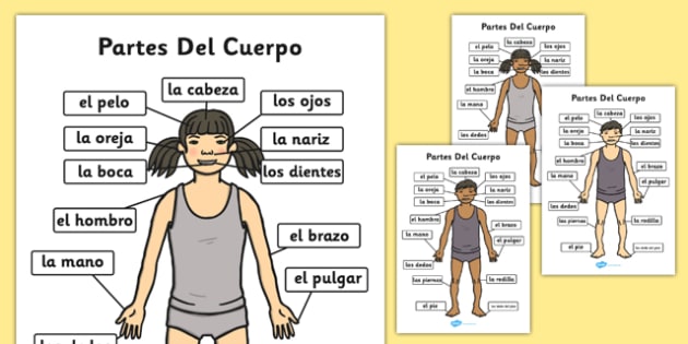 What Are The Names Of The Parts Of The Body In Spanish Twinkl 