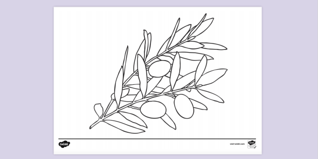 coloring pages of olive trees