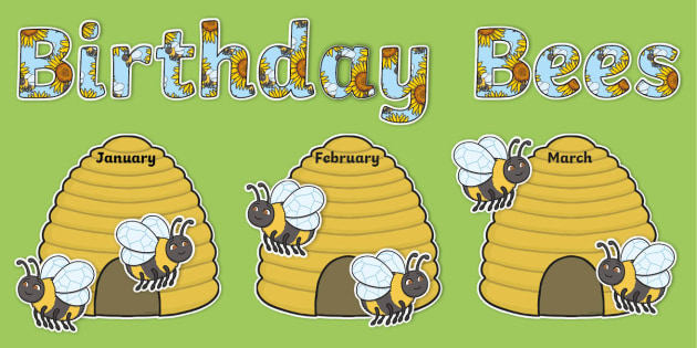 👉 Birthday Bees Display Pack (teacher made) - Twinkl