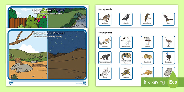 Nocturnal and Diurnal Australian Animals Sorting Activity