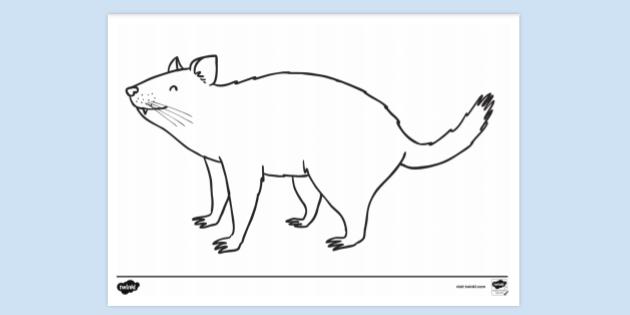 Free Tasmanian Devil Colouring Sheet Colouring Sheets