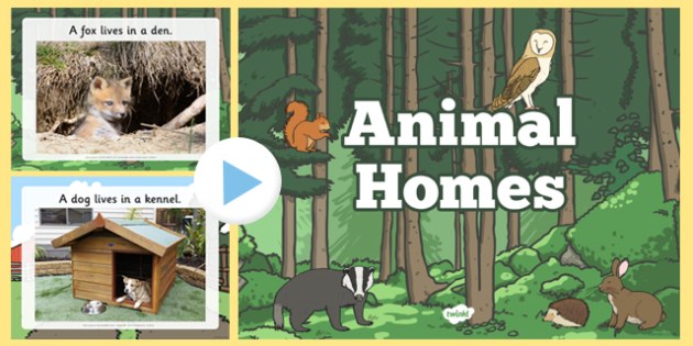 Animal Homes For Kids PowerPoint - Science - EYLF - Twinkl