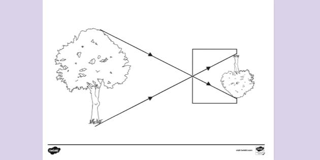 FREE! - Pinhole camera | Colouring Sheets (teacher made)